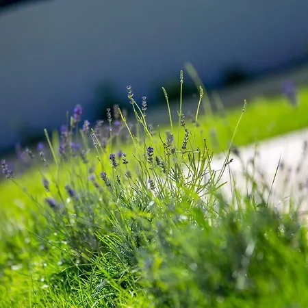 Leticia Vila Hreljići